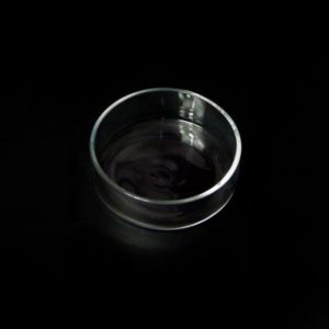 CUTE ELVES Round/Square Practical Acrylic Durable Transparent for Fish Tank Shrimp Food Box Fish Feeding Bowl Shrimp Feeder Fish Feeding Dish