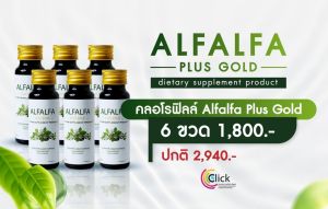 Alfalfa Plus Gold (คลอโรฟิลด์ สกัดจากต้น Alfalfa) ควบคุมน้ำตาล แพ๊ค 6