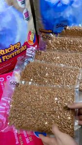 POWERCAT Premium Kitten Formula 2kg [Vacuum Repacking]