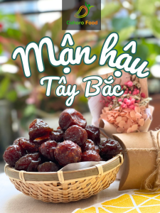 MẬN HẬU TÂY BẮC đặc sản Mộc Châu mận sấy dẻo rất tốt cho sức khỏe  [CAHORO FOOD]