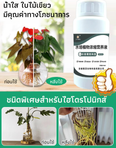 ปุ๋ยธาตุอาหารพืชเข้มข้นพิเศษ ปุ๋ยดอกไม้ ปุ๋ยอเนกประสงค์ ปุ๋ยสำหรับพืชสีเขียวในกระถาง หัวไชเท้าสีเขียว ใบเหลือง อเนกประสงค์ 水培植物浓缩营养液