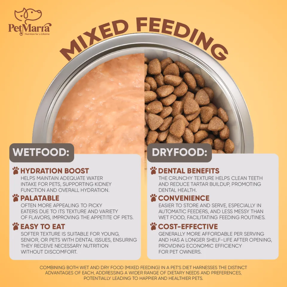 Wet Cat Food How Much Should Month Kitten Eat Feeding Chart Can