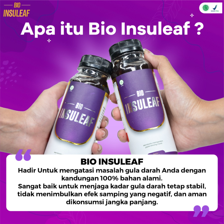 Bio Insuleaf 250 Ml Obat Herbal Diabetes Bio Insuleaf Bisa