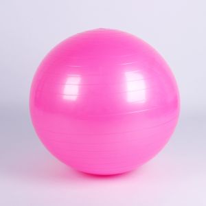 Bola Gym & Yoga - Bola Yoga Besar - Bola Olahraga Tebal - 65cm - 55cm
