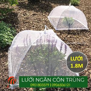 Lưới ngăn côn trùng trồng rau lưới ngăn ruồi vàng đục trái cho cây ăn quả bán theo cuộn (18 mesh)