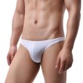Swimwear Men Briefs Swimming Trunks Bathing Penis Pouch Swim Beach Shorts Surf Beachwear Hombre Bikini. 
