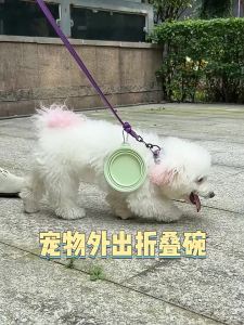 PETWELL Foldable dog bowl 350ML Pet Food Water Feeding Portable Travel Bowl Collapsible Dog Bowl