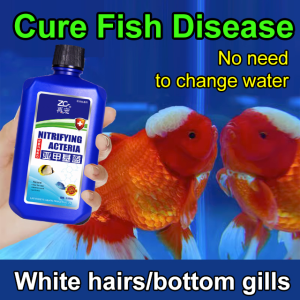 Goldfish Tank Comprehensive Water Purifier