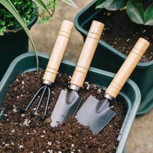 Garden Hand Spade Tools Mini Garden Tool Set 3 Pcs Handheld Shovel/Rake/Spade  Digging Shovel Tools 迷你园艺工具三件套