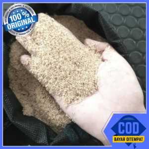 Telur Jangkrik Khusus Untuk Pemancingan