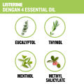 [Paket isi 2] LISTERINE NATURAL GREEN TEA Obat Kumur 500ml. 