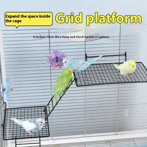 Bay gấu Chim Tương tác nền tảng thiết kế lưới bền Vẹt còn lại nền tảng