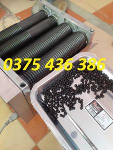 Máy vo viên bánh nhãn máy làm viên trân châu DZ20 giá rẻ