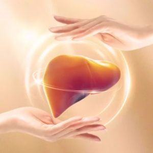 Miếng Dán Bảo Vệ Gan F-Type – Thanh Nhiệt Thải Độc Hỗ Trợ Chức Năng Gan Hiệu Quả Hộp 10 miếng