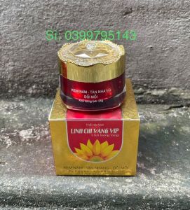 Kem Nám Tàn Nhang Đồi Mồi Linh Chi Vàng Thế Hệ Mới Vip 25g
