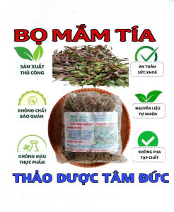 100g cây bọ mắm tía  cây dòi tía sấy khô