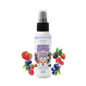 FOCAT Pet Dry Shampoo / Sampo Pembersih Hewan Peliharaan 100ml N10 Sampo Busa Anjing Kucing Tanpa Bilas