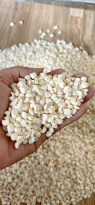 (Giá sỉ) 10kg Bắp / ngô nếp khô nhà máy sản xuất