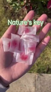 Ready stock ? ? [BUY 4 GET 1 FREE]Natures Key Halal Vegan 1000mcg Apple Cider Vinegar 30 Gummies