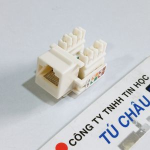 Đầu âm tường RJ45 Cat 5e 8 Line / Ruột đầu mạng RJ45 Cat 5 AMP