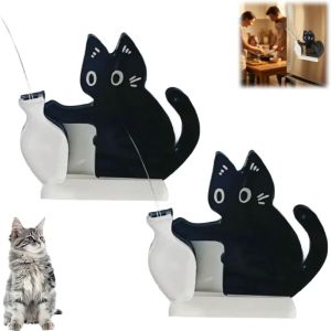 PLLEWY Acrylic Cat Whiskers Collection Ornaments Cartoon ic Cat Refrigerator Sticker Cute Cat Hair Storage Memorial Box for Home Decoration