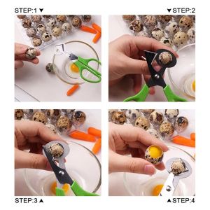 Kéo Cắt Trứng Cút Thép Không Gỉ PVN9226