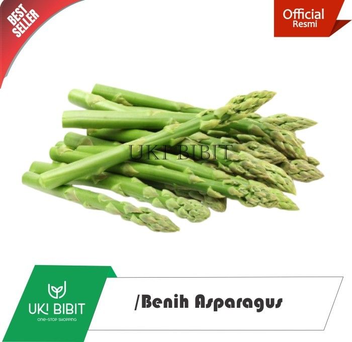 ( 1 Kg ) Benih Asparagus Mary Washington Lazada Indonesia