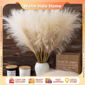 5pcs Artificial Pampas Grass Fake Reed Plants Bouquet Wedding Home Living Room DIY Vase Decoration
