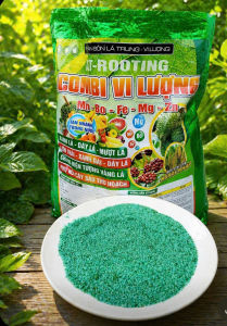 Phân bón At-Rooting Combi Vi Lượng - Nông nghiệp Việt Nam - Chứa Mn - Fe - Mg - Zn - Mg - Bón cho cây ăn trái - Dinh dưỡng cho cây trồng