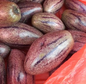 buah pepino put segar 1kg berkualitas