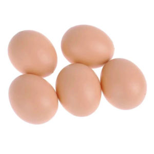 5Pcs Fake Egg Simulation Plastic Eggs Farm Animal Supplies Cages Accessories for Encouraging Hen Lay COD