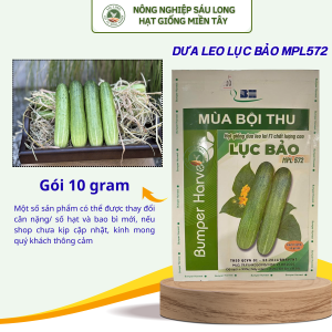 HẠT GIỐNG DƯA LEO LỤC BẢO MPL 572 10G