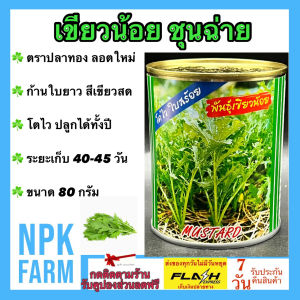 ปลาทอง ผักกาดเขียว [ ขนาด 80 กรัม  ] หมดอายุ 07/2569 เขียวน้อย งอกดี ต้นใหญ่ ก้านใบยาว เต็ม ใบสีเขียวสด ไม่แตกแขนง น้ำหนักดี ระยะเก็บ 40-45 วัน