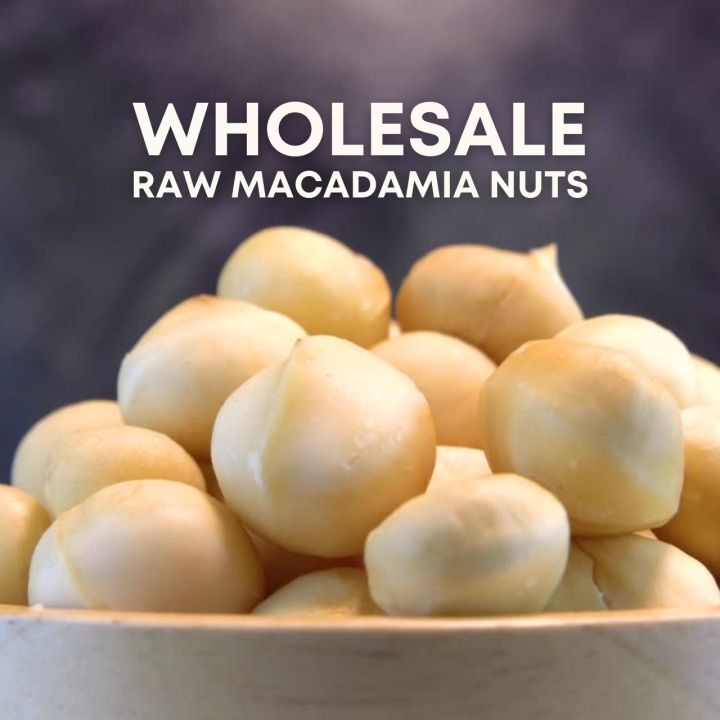 Wholesale Raw Macadamia Nuts 500g 1kgs Burrp Sugarfree Low Carb Keto