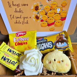 ✨ Cute Yellow Chick Duck Sunshine Doll Plushie Treats Thoughtful Gift for Girlfriend Her Valentines LDR Surprise Package Giftsets