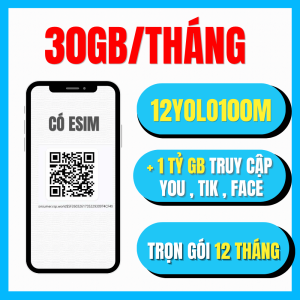 ( FLASH SALE ) Sim 4G Vinaphone Trọn Gói 1 Năm Không Nạp Tiền 12YOLO100M Tặng 1GB/Ngày Tốc ĐỘ Cao Miễn Phí MXH Không Giới Hạn | FREESHIP - CHƯA KÍCH HOẠT