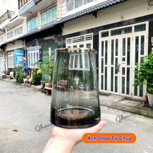 Lọ hoa thuỷ tinh miệng sơn mạ vàng cao cấp Qhouse bình hoa trang trí phòng khách phòng ngủ để bàn làm việc đẹp