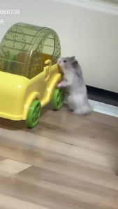 Large Size Simple Gerbil Wheel Vehicle Plan Strong ABS Substance for Small Animal Activity