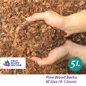 Pine Wood Barks(M Size/9 -12mm) (5L) (Suitable for Succulent Mix Potted plant mulching etc)