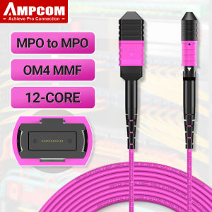 AMPCOM MPO to MPO Type B Fiber Patch Cord OM4 Multimode 8/12/24 Cores Trunk Cable for 10G QSFP+ 100G QSFP28 Transceivers Lengths From 1M To 50M