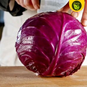 20 Seeds of Red Cabbage Binhi Pantanim
