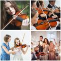 RIXTON Music Professional Violin 4/4 Full Set of Rosin Free Packaging Orchestral Instruments(Violin 4/4 Full Set). 
