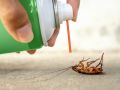 BAYGON Cockroach Control Aerosol Spray 570ml. 