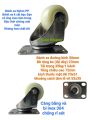 Bánh xe inox 304 đường kính bánh 50mm. 