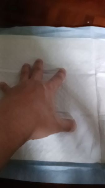 Buyer review video 2