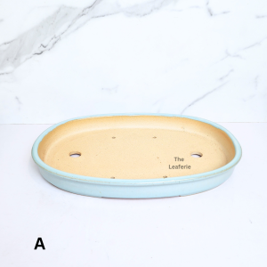 The Leaferie Bonsai plant pots (Series 71) Oval Ceramic flowerpot flowerpots flower pot planter planters