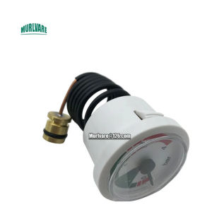 Wall Mounted Furnace Parts Pressure Gauge Capillary Steam Pressure Gauge For Ferroli Gas Boilers Replacement