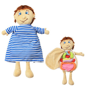 Childrens 3D Cloth Body organs Doll Human Structure Puzzles Cognition Kids Early Education Biological Puzzle Game Plush Toys Educational Toy for Baby Boys Girls