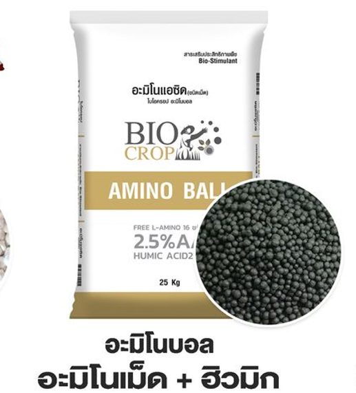 อะมิโนบอล อะมิโน 16 ชนิด ช่วยการเจริญเติบโตของพืช