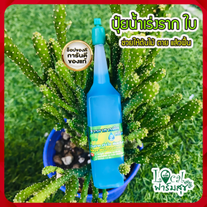 ปุ๋ยน้ำ เร่งโต 5 เท่า เร่งลำต้น  ใบ และราก ปุ๋ยไฮโดรโปนิกส์ ต้นไม้ตายแล้วฟื้น ขนาด 38 ML. ( 6 ขวด ) homes